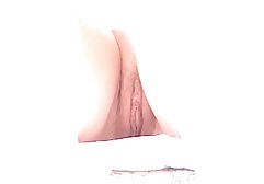 Znowu!!! sex filmy cycate